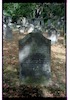 Photograph of: Jewish cemetery in Potsdam.