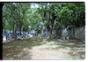 Photograph of: Jewish cemetery in Potsdam.