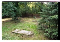 Photograph of: Jewish cemetery in Kremmen.