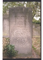 Photograph of: Jewish cemetery in Oranienburg.