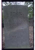 Photograph of: Jewish cemetery in Oranienburg.