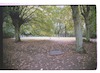 Photograph of: Jewish cemetery at Saarstr. in Eberswalde.