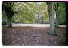 Photograph of: Jewish cemetery at Saarstr. in Eberswalde.