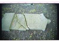 Photograph of: Jewish cemetery in Gartz.