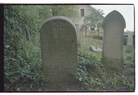 Photograph of: Jewish cemetery in Gartz.