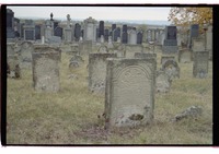 Photograph of: Jewish cemetery in Rödelsee.