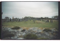 Photograph of: Jewish cemetery in Rödelsee.