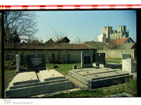 Photograph of: Jewish cemetery in Bajmok.
