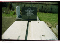 Photograph of: Jewish cemetery in Bajmok.