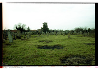 Photograph of: Jewish cemetery in Senta.
