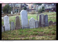 Photograph of: Jewish cemetery in Vršac.