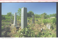 Photograph of: Jewish Cemetery in Mali Idjoš.