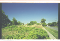 Photograph of: Jewish Cemetery in Mali Idjoš.
