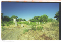 Photograph of: Jewish Cemetery in Mali Idjoš.