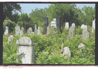 Photograph of: Jewish Cemetery in Mali Idjoš.
