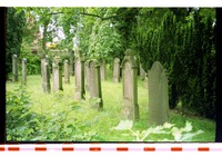Photograph of: Jewish cemetery in Leer.