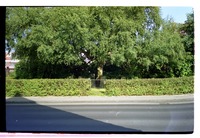Photograph of: Jewish cemetery at Finkenburger Str. in Wittmund.