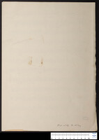 איך נפלו גיבורים, אופוס 340 (כתב יד).