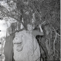 שחקנית התיאטרון זהרירה חריפאי.