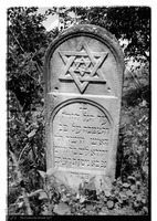 Photograph of: Jewish cemetery in Boiany (Boyan).