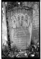 Photograph of: Jewish cemetery in Boiany (Boyan).