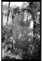 Photograph of: Jewish cemetery in Boiany (Boyan).