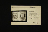 Memorbuch (3) - Wallerstein (Germany).