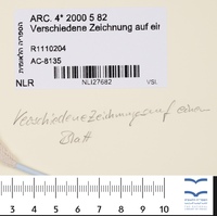 Verschiedene Zeichnungen auf einem Blatt.