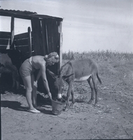 מושב קדרון.