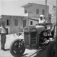שפרעם.