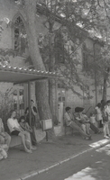 רמת ישי.