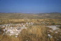 לכיש