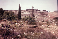 קרית יערים