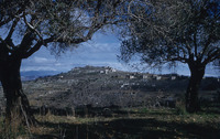 סאסא