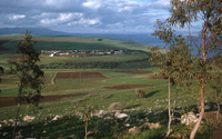 בקעת ארבל, כפר חיטים