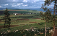 בקעת ארבל, כפר חיטים