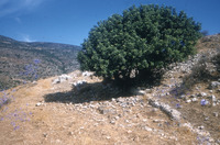 גליל תחתון, באר שבע הגלילית