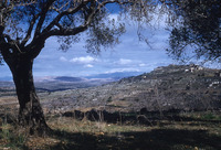 סאסא