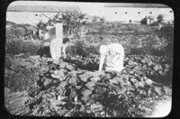 נשים עובדות בקטיף בגינת ירק.