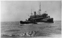 מטען קורות עץ מהאניה 'הר ציון' בבעלות Palestine Maritime Lloyd, נגרר לנמל תל אביב.