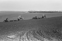 טרקטורים זורעים את תבואת החורף בשדות קיבוץ חולדה.