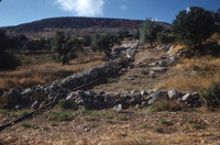 אזור השפלה