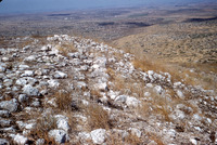 אזור השפלה
