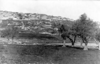 מבט מעמק המצלבה לכיוון נחלאות בירושלים.