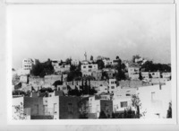 מסגד בלב שכונה ערבית.