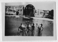 גלגל האנטילה המעלה את מי האורונטס אל אמות המים בחמת (אל חמה), סוריה.