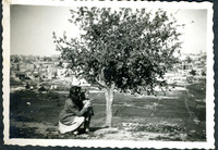 רחל לבנון ובנה הפעוט יהושע (שוקי) מתבוננים בעץ, גבעת שייח' ג'ארח, ירושלים.