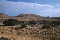 תל גורן