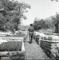 סגן אלוף אריה בירו