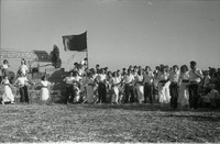 חג ביכורים- שבועות.